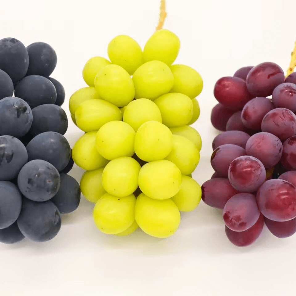 ぶどう三姉妹®︎通販・ギフト｜長野県・なかむら果実園から産地直送