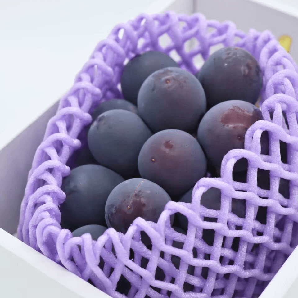 数量限定|プレミアム種なし巨峰