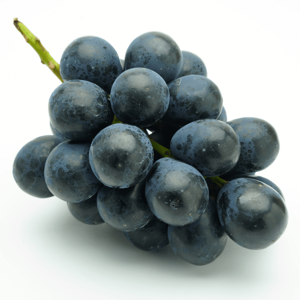 【房】旬のぶどう詰め合わせ