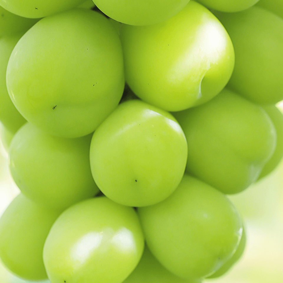 シャインマスカット