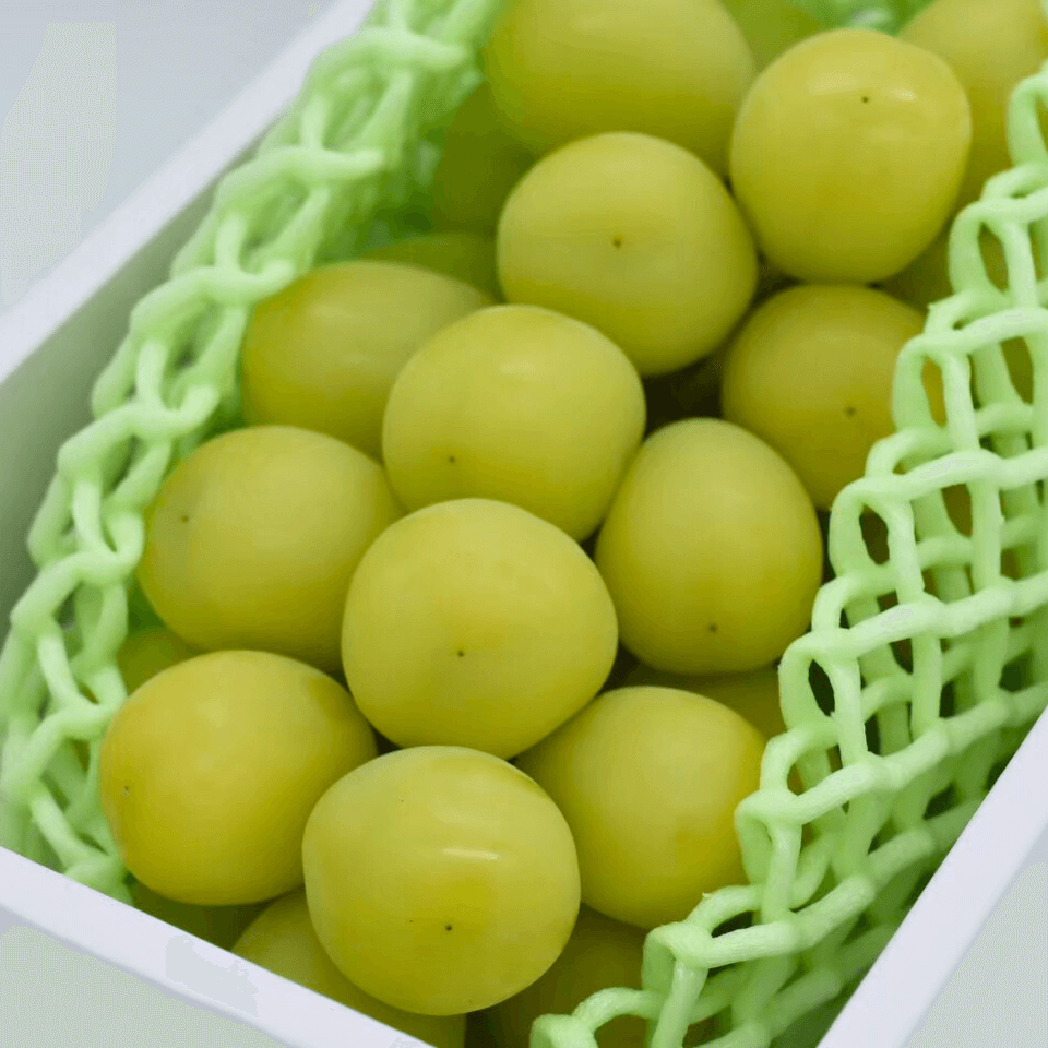 数量限定|プレミアムシャインマスカット