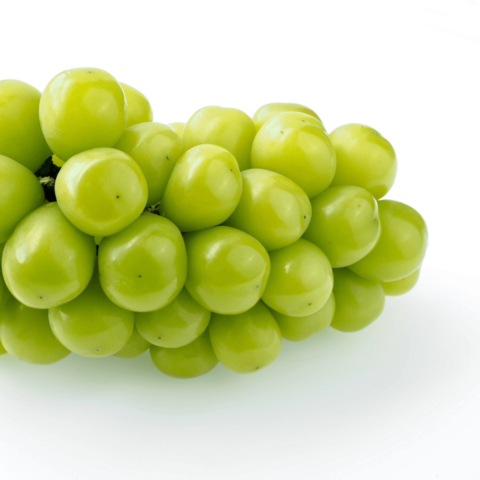 シャインマスカット