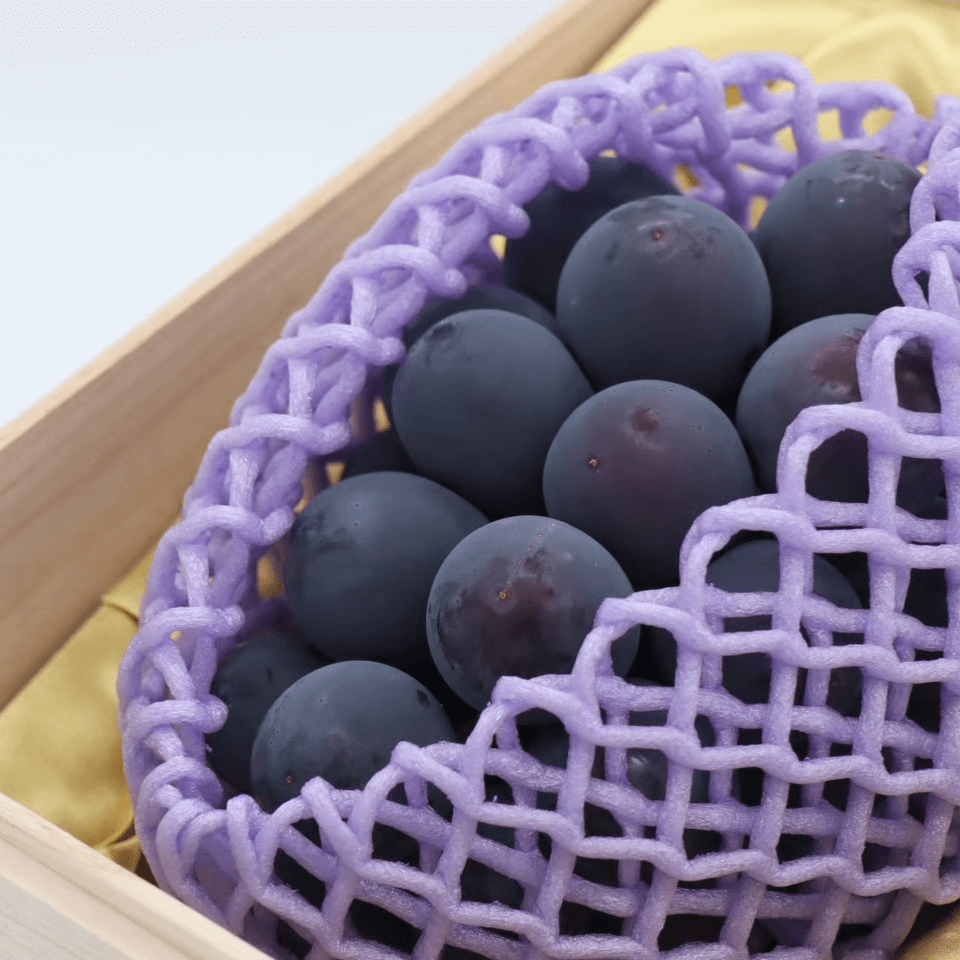 数量限定|プレミアム種なし巨峰