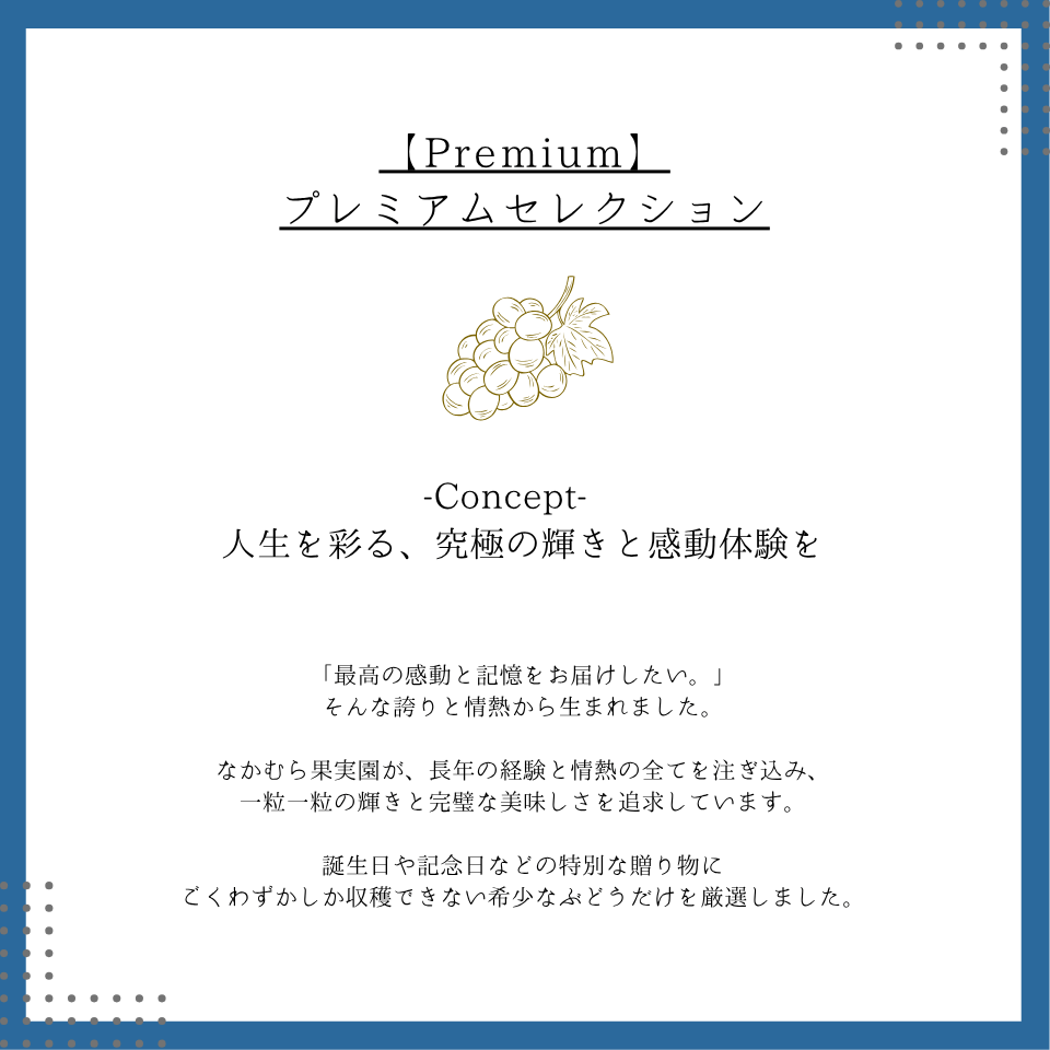 数量限定|プレミアム種なし巨峰