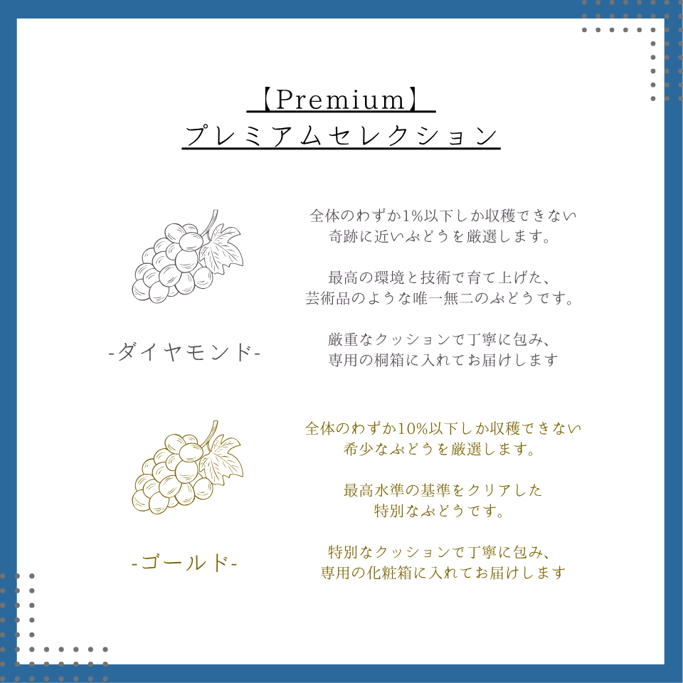 数量限定|プレミアム種なし巨峰