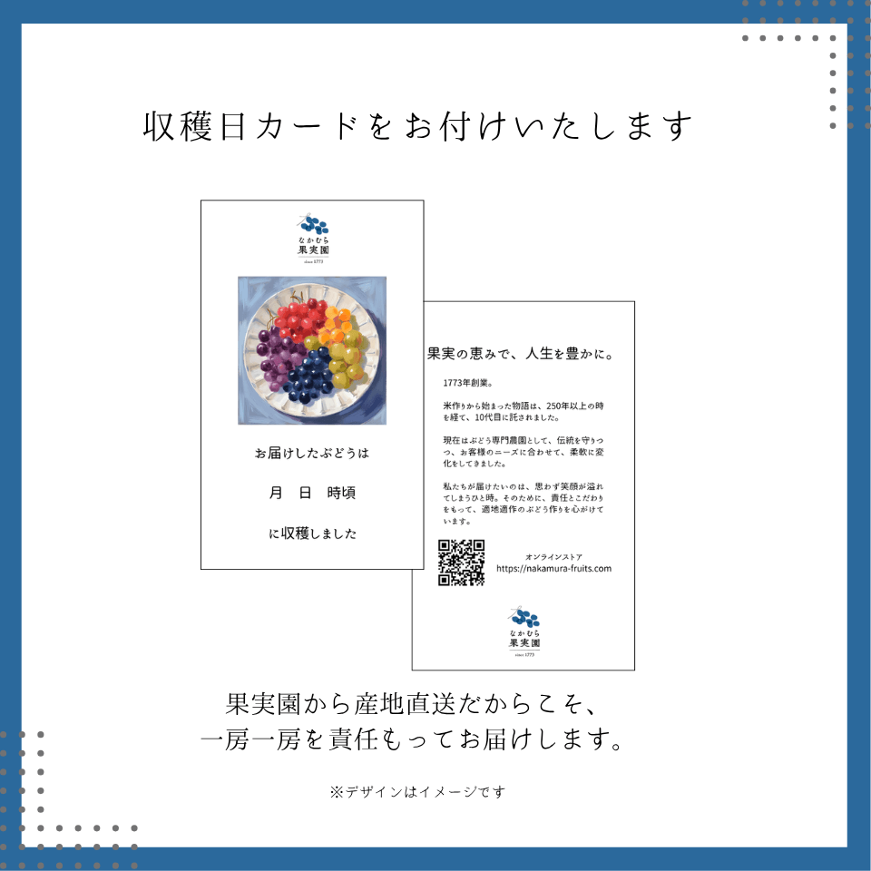 【粒】旬のぶどう詰め合わせ