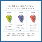 【粒】旬のぶどう詰め合わせ
