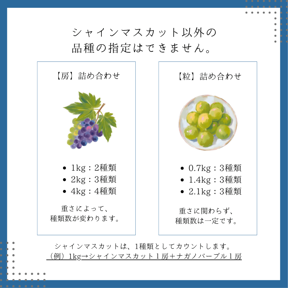 【粒】旬のぶどう詰め合わせ